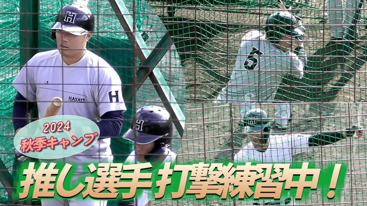 【2024/11/19 ちゅ～るスタジアム清水】行くか行かないか迷ったのがウソみたいに推し活に走ってしまったハヤテ秋季キャンプ見学😅