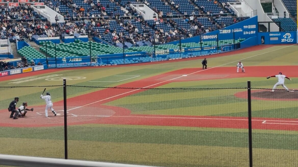 12球団合同トライアウト シート打撃『投手: 元楽天・清宮虎太朗  打者: 元ロッテ・菅野剛士 & 元ライオンズ・鈴木将平 』