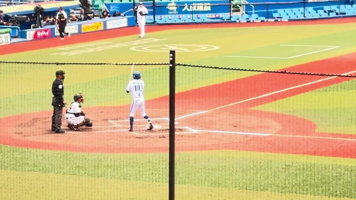 12球団合同トライアウト シート打撃『投手: 元巨人・川嵜陽仁 打者: 元ソフトバンク・小林珠維 & 元DeNA・村川凪 』 12球団合同トライアウト シート打撃『投手: 元巨人・川嵜陽仁 打者: 元ソフトバンク・小林珠維 & 元DeNA・村川凪 』