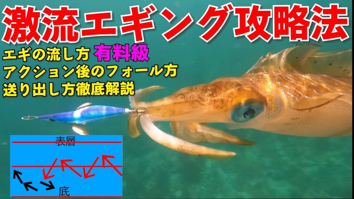 プロが激流魔法を教えてやる！エギング攻略法！エギの流し方、アクション後のフォール方法を徹底解説