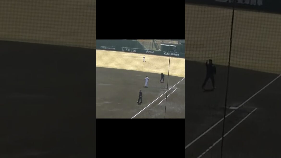 楽天ルーキー中島大輔の打球 ショート2年目 中田歩夢が安定してる【イースタン 読売ジャイアンツ対 楽天ゴールデンイーグルス2024年3月16日】 #野球 #プロ野球