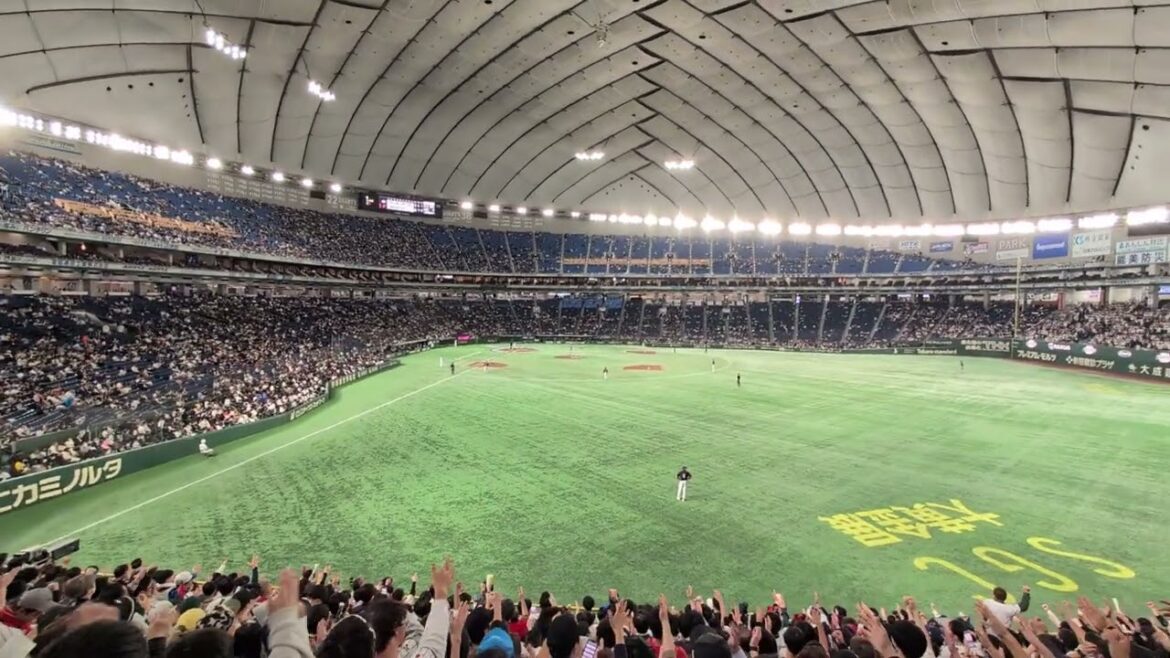 プレミア12 日本代表5五十幡亮汰応援歌 日本代表-アメリカ代表 東京ドーム2024/1121