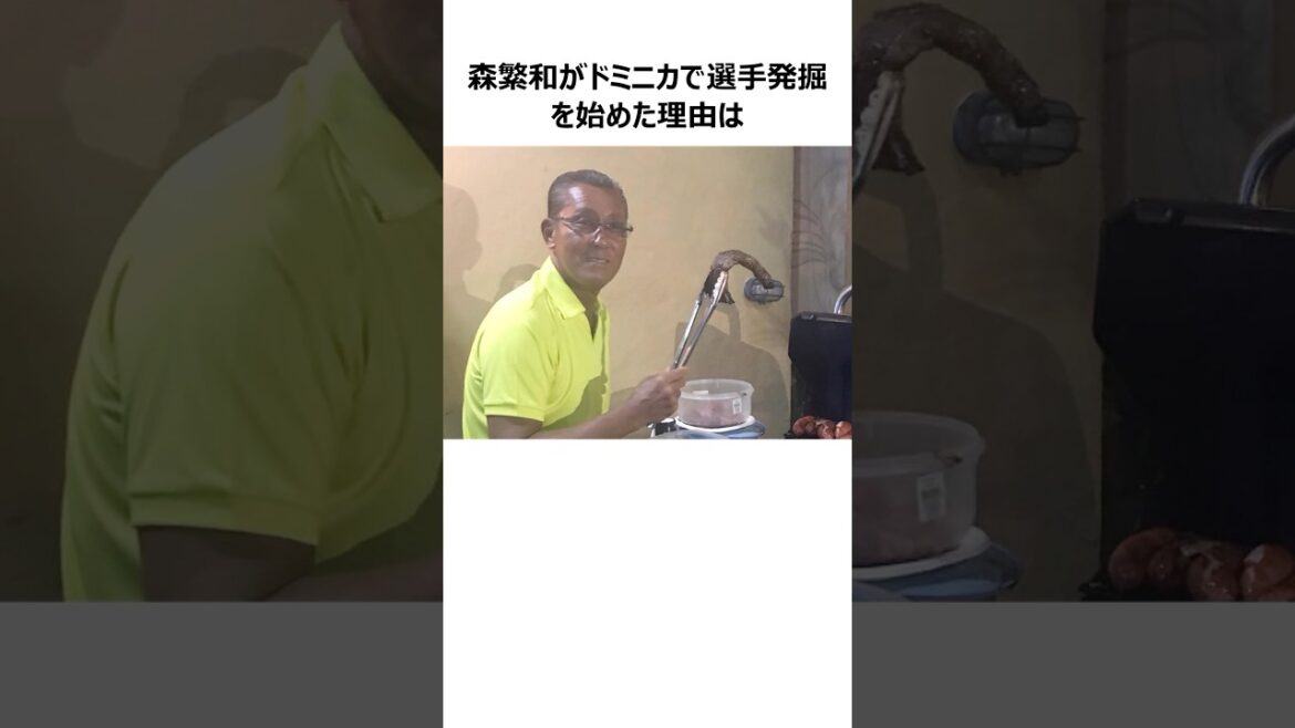 【中日ドラゴンズ】ドミニカ経由の当たり外国人選手が多い理由に関する雑学