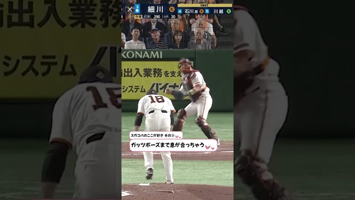 スカコバのここが好き #プロ野球 #ドラマチックベースボール #菅野智之 #小林誠司 #スガコバ #shorts スカコバのここが好き #プロ野球 #ドラマチックベースボール #菅野智之 #小林誠司 #スガコバ #shorts