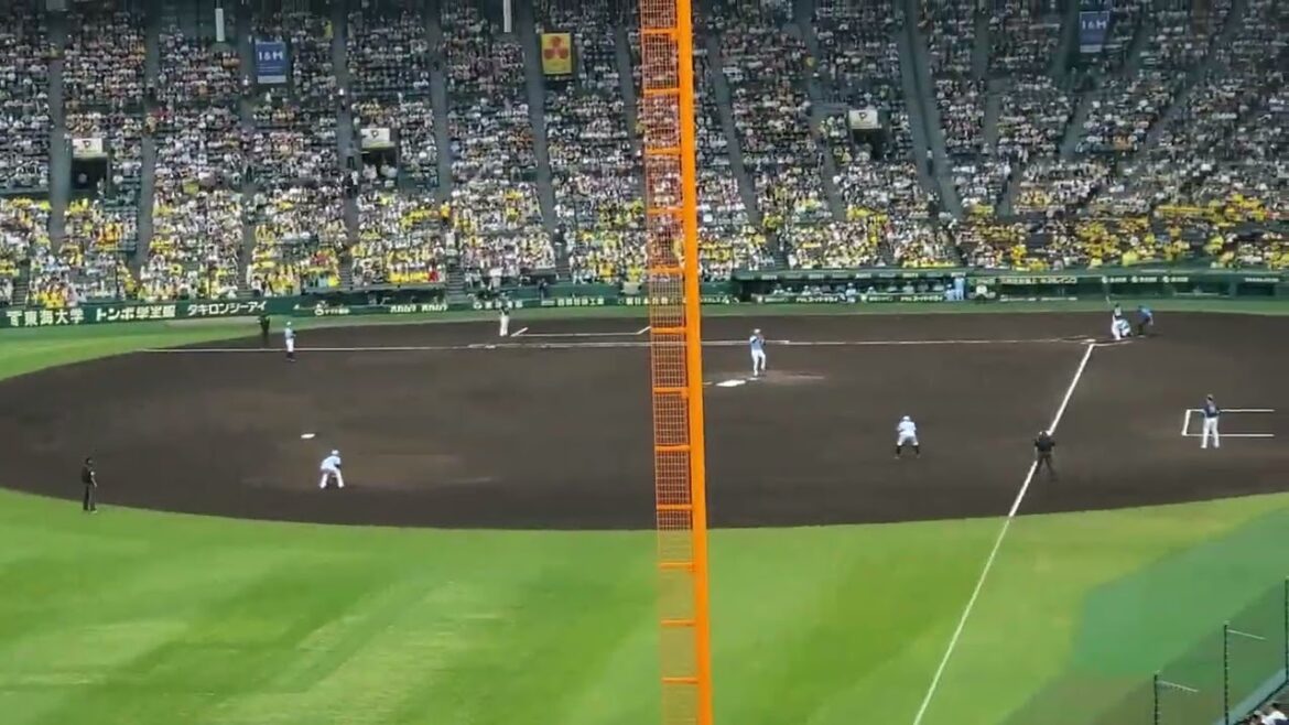 20240609　古巣相手に不発…【陽川尚将 応援歌】　4回表　埼玉西武ﾗｲｵﾝｽﾞ@阪神甲子園球場･ﾚﾌﾄ外野 日本生命ｾ･ﾊﾟ交流戦