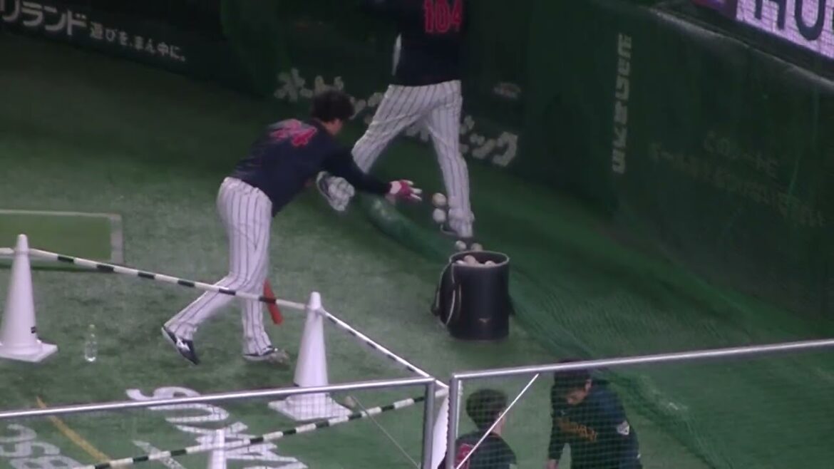 トスバッティングを行う紅林弘太郎【2024年11月22日 日本 対ベネズエラ】