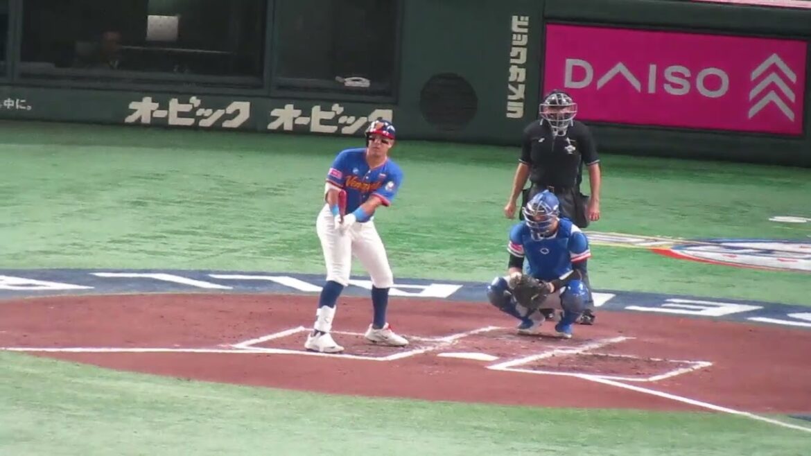 ベネズエラ R フローレスの打撃フォーム【プレミア12スーパーR台湾 対 ベネズエラ 2024年11月21日】