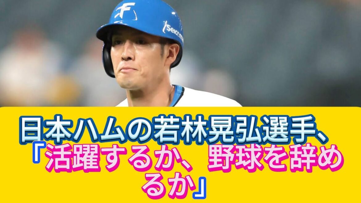 日本ハムの若林晃弘選手、来季の活躍を誓う!野球を辞める選択肢はあるのか?【野球情報】【プロ野球反応集】【2chスレ】【5chスレ】 日本ハムの若林晃弘選手、来季の活躍を誓う!野球を辞める選択肢はあるのか?【野球情報】【プロ野球反応集】【2chスレ】【5chスレ】