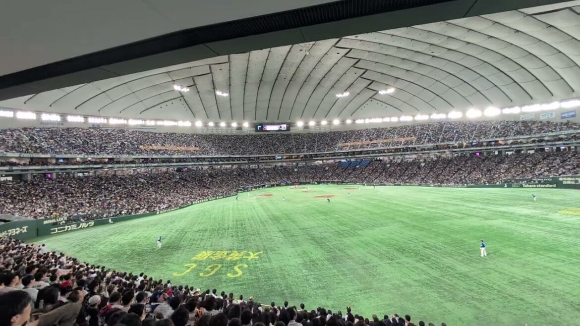 プレミア12 日本代表佐藤都志也応援歌 日本代表-台湾代表 東京ドーム 2024/11.23