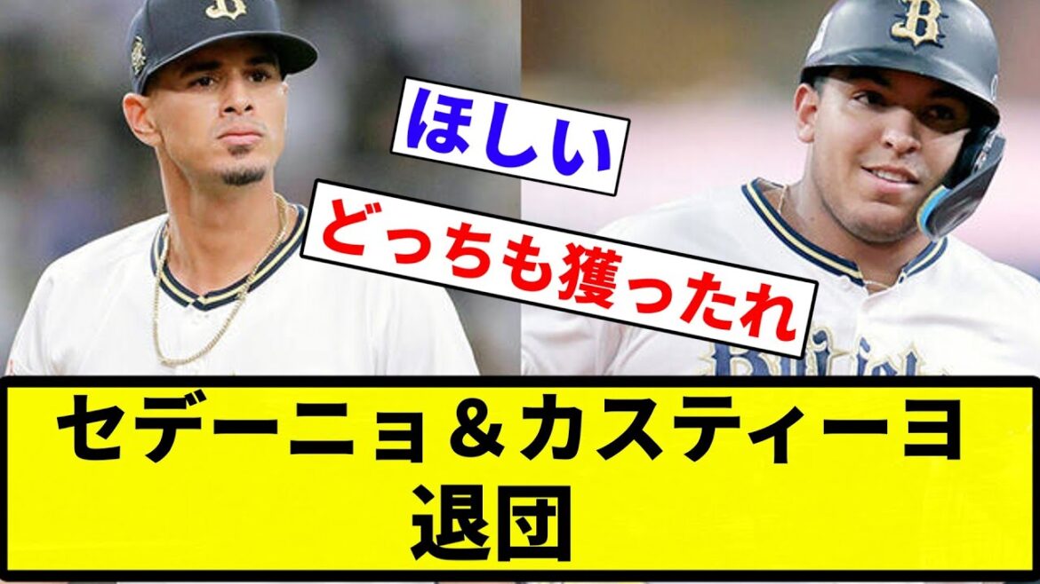 【あほくさ】セデーニョ＆カスティーヨ 退団【プロ野球反応集】【プロ野球反応集】
