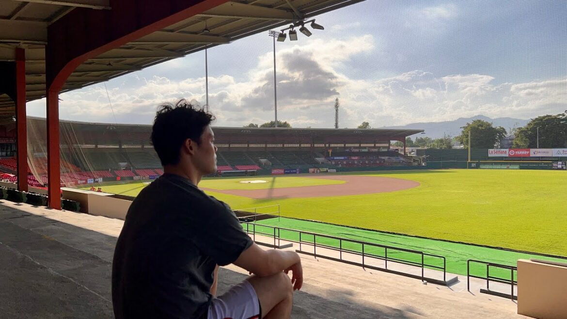 国内FA権を行使します