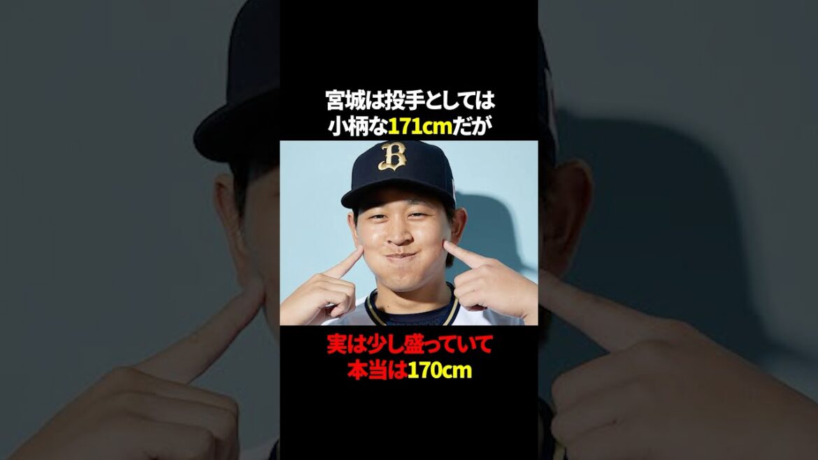 宮城の雑学#shorts #野球