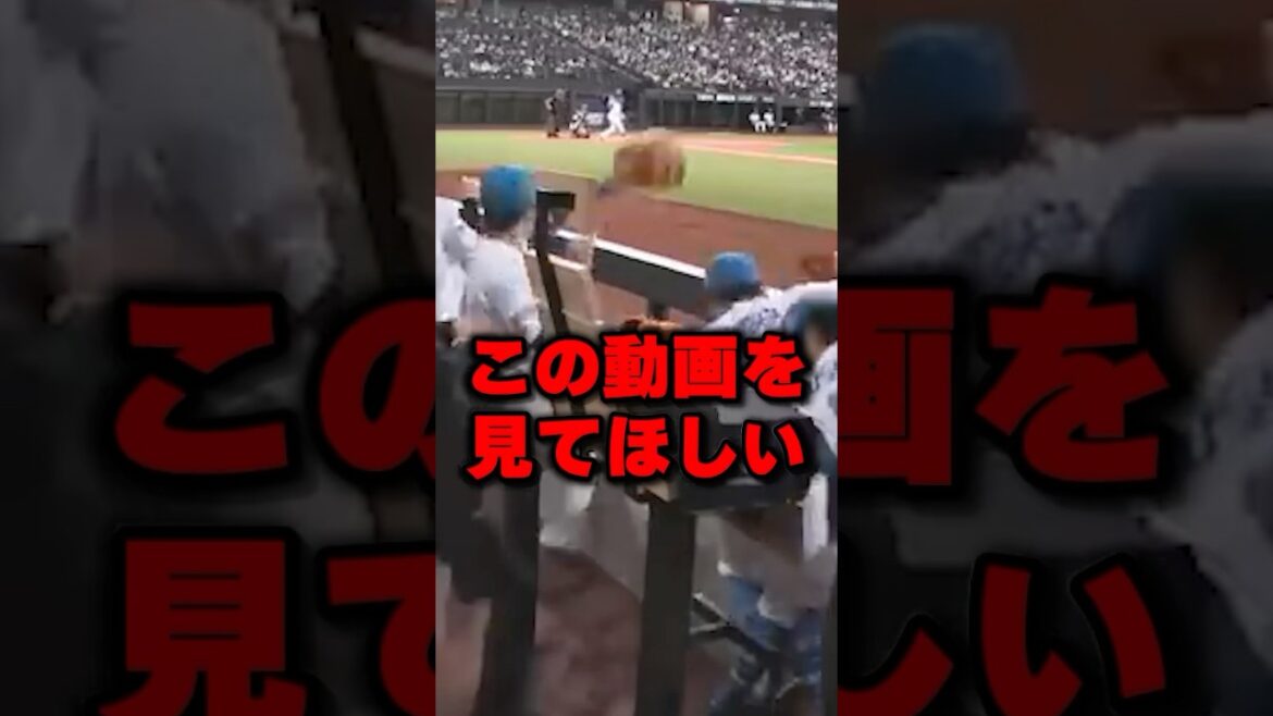 この動画を見てほしい#野球 #プロ野球 ＃shorts
