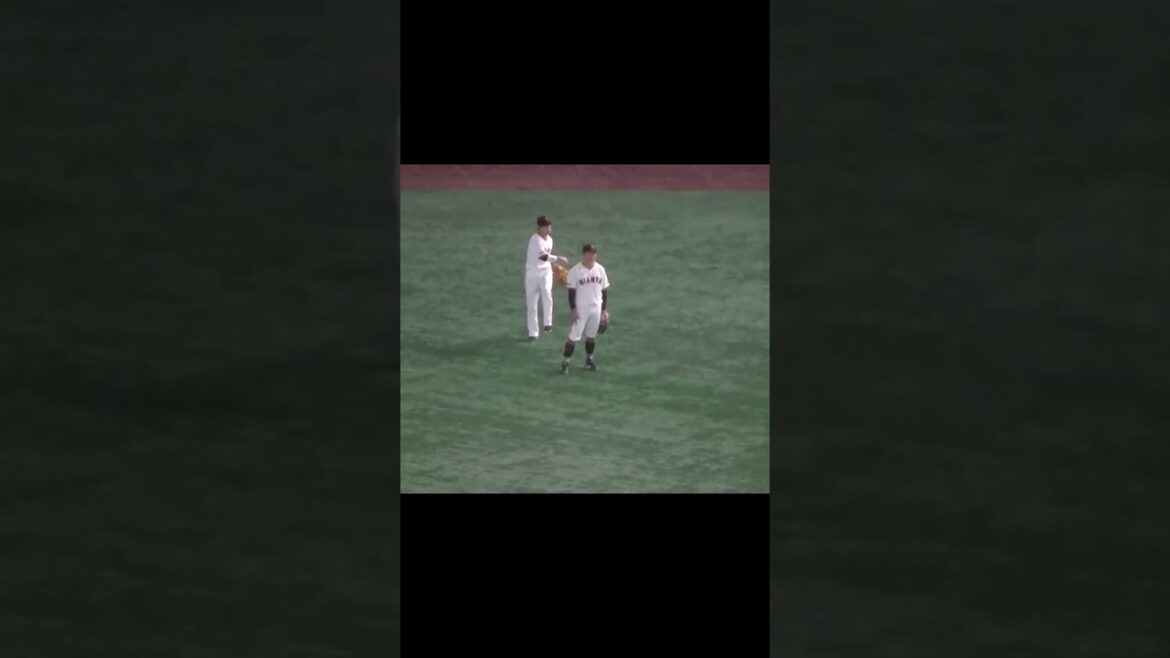 外野ノック スローイングする佐々木俊輔と重信慎之介（2024年4月30日 読売ジャイアンツ対 ヤクルトスワローズ）