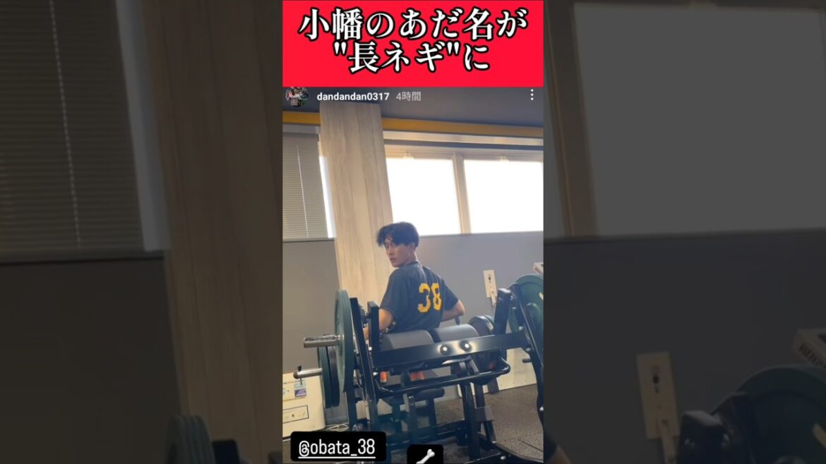 【阪神】小幡&小野寺トレーニング風景！ #阪神 #阪神タイガース #小幡竜平 #小野寺暖  #shorts