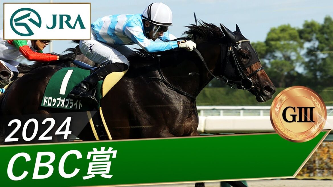 2024年 CBC賞（GⅢ） | ドロップオブライト | JRA公式