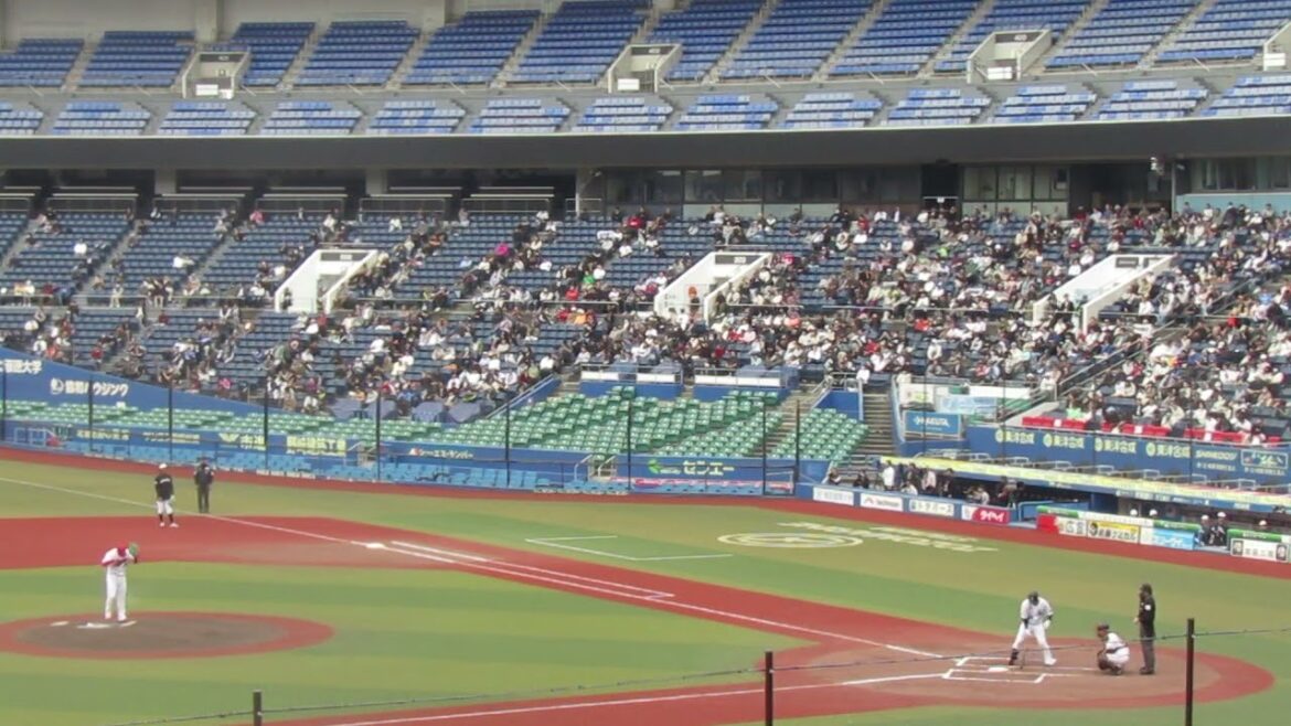 トライアウト〜ロッテ菅野剛士が四球を選ぶ（2024年11月14日 プロ野球合同トライアウト ）
