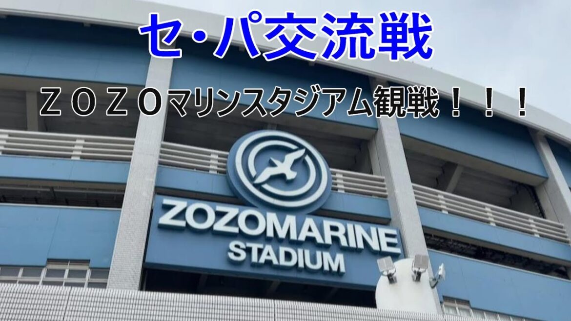 【セ・パ交流戦】【千葉ロッテマリーンズ】　【中日ドラゴンズ】【ＺＯＺＯマリンスタジアム】6/16(日)