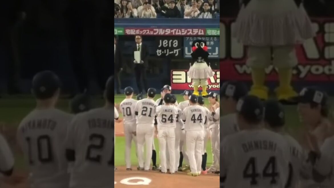 山崎晃大朗、立ったまま持ちあげられるw #東京ヤクルトスワローズ #shorts