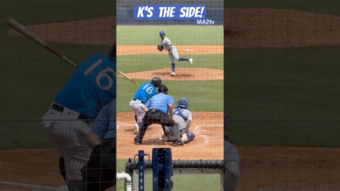 K’s the Side! Blue Jays prospect Luis Torres was 🔥, picked up the save. #baseball #Life MA2tv #MILB