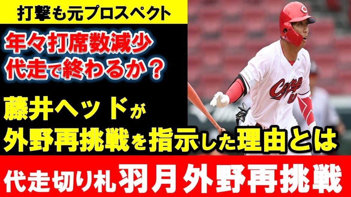 【新背番号00】カープ羽月が外野再挑戦！センター羽月がメリットだらけ！藤井ヘッドが外野再挑戦指示した理由【広島東洋カープ】
