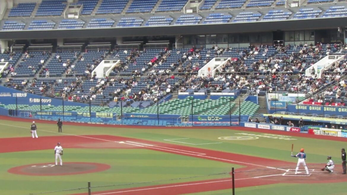 トライアウト〜ヤクルト尾仲祐哉が元巨人 陽岱鋼を三振（2024年11月14日 プロ野球合同トライアウト ）