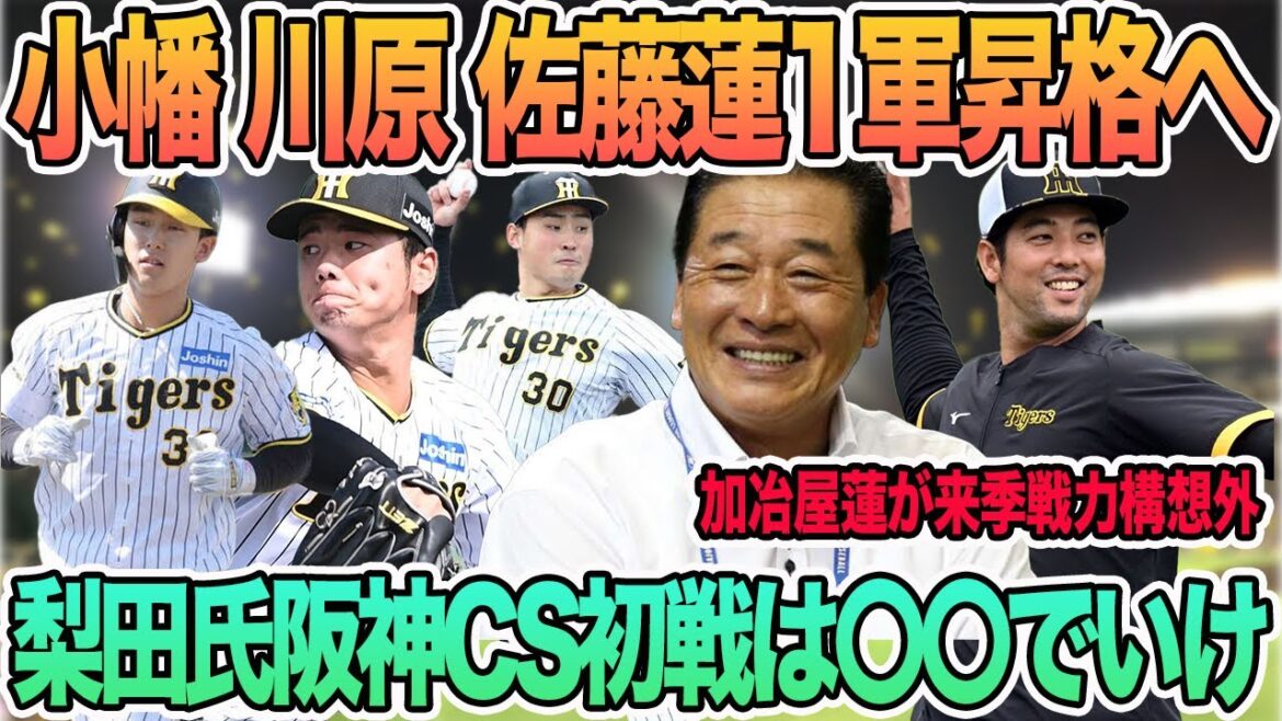 【小幡、川原、佐藤蓮が1軍昇格へ】梨田氏「阪神CS初戦は〇〇で行くべき」 加冶屋蓮来季戦力構想外 阪神タイガース 【小幡、川原、佐藤蓮が1軍昇格へ】梨田氏「阪神CS初戦は〇〇で行くべき」 加冶屋蓮来季戦力構想外 阪神タイガース