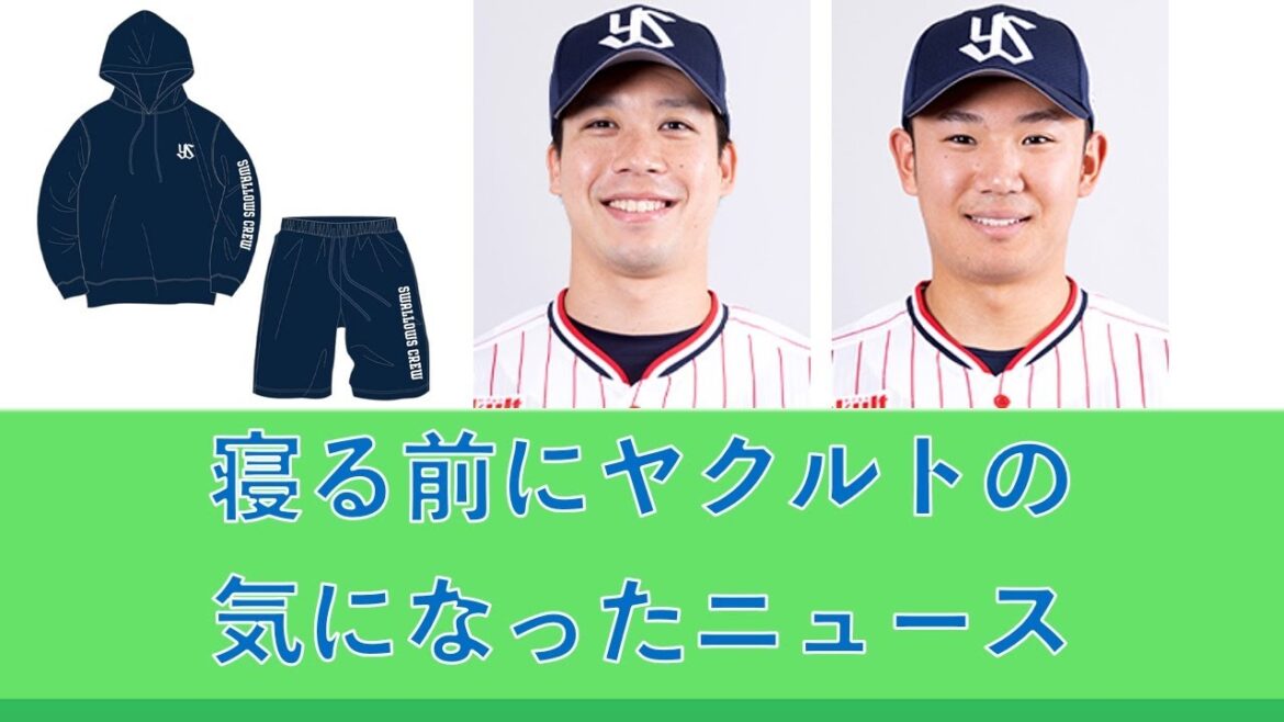 寝る前にヤクルトの気になったニュース 20241128