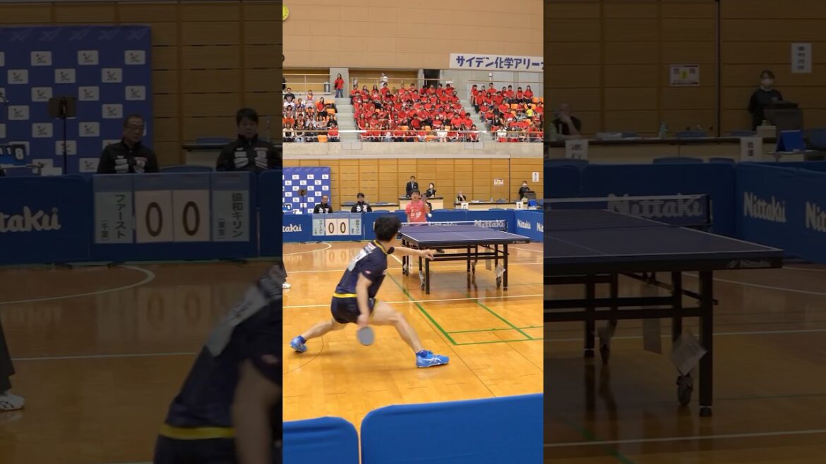 【卓球】画面からはみ出ちゃうバチバチスーパーラリー!丹羽孝希 vs 松平賢二 #Shorts 【卓球】画面からはみ出ちゃうバチバチスーパーラリー!丹羽孝希 vs 松平賢二 #Shorts