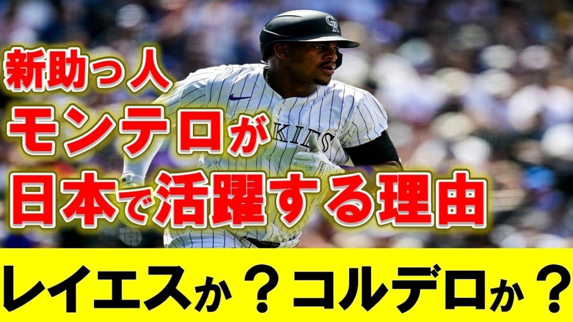【カープ】モンテロ徹底分析！日本で活躍する理由が判明！？他球団のドミニカン選手選手と比較してポジる！【広島東洋カープ】