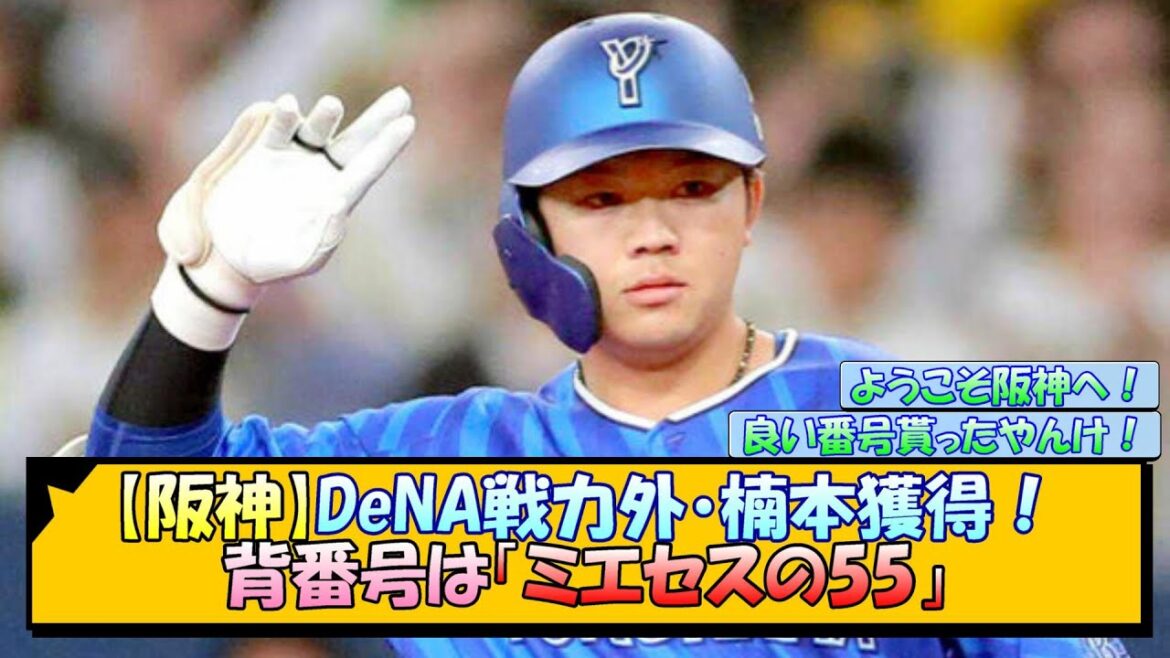 【阪神】DeNA戦力外・楠本獲得！背番号は「ミエセスの55」【なんJ/2ch/5ch/ネット 反応 まとめ/阪神タイガース/藤川球児】