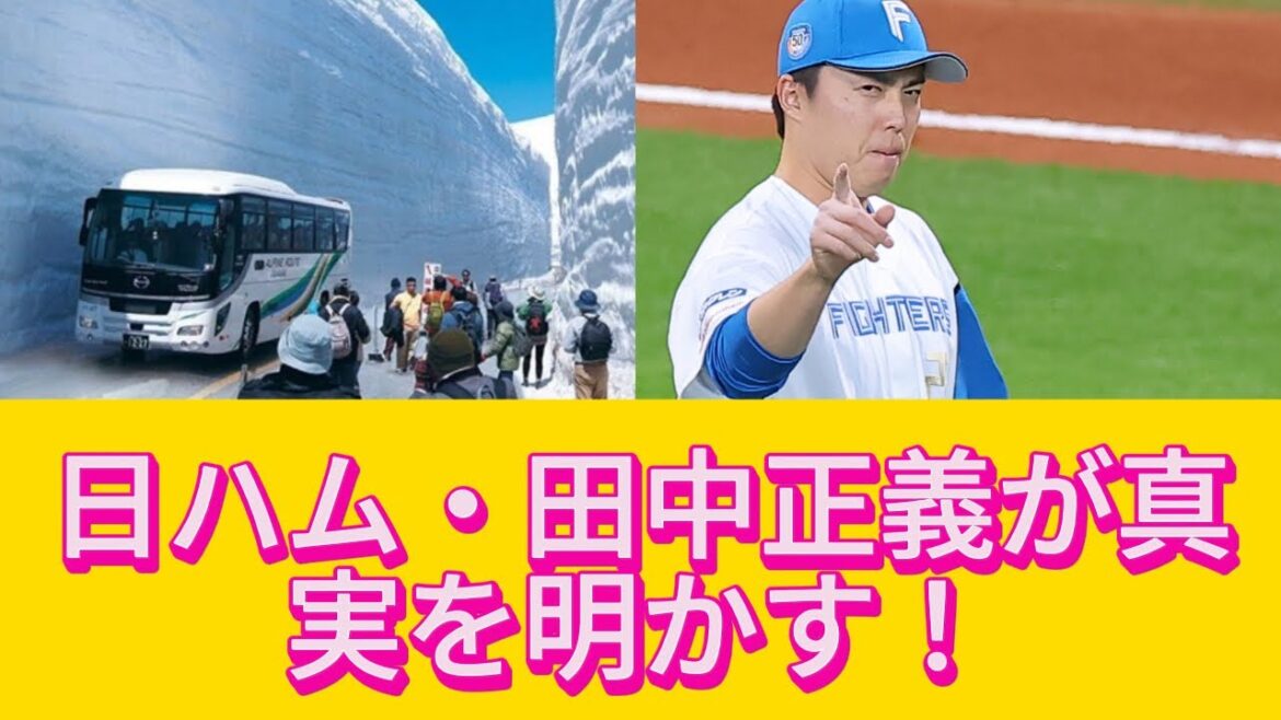 【注意】日ハム田中正義が語る「北海道の攻略法」！プロ野球ファンの反応【プロ野球反応集】