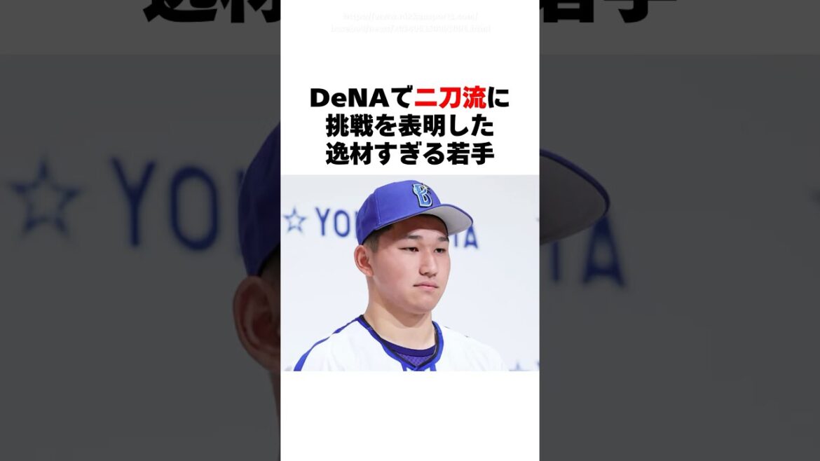 「DeNAで二刀流挑戦を表明の19歳」武田陸玖の雑学