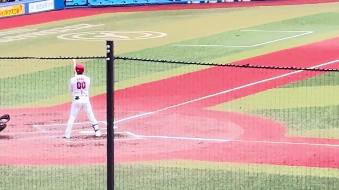 12球団合同トライアウト シート打撃『投手: 元ロッテ・島孝明  打者: 元広島・曽根海成 & 元ヤクルト・ 西田明央』