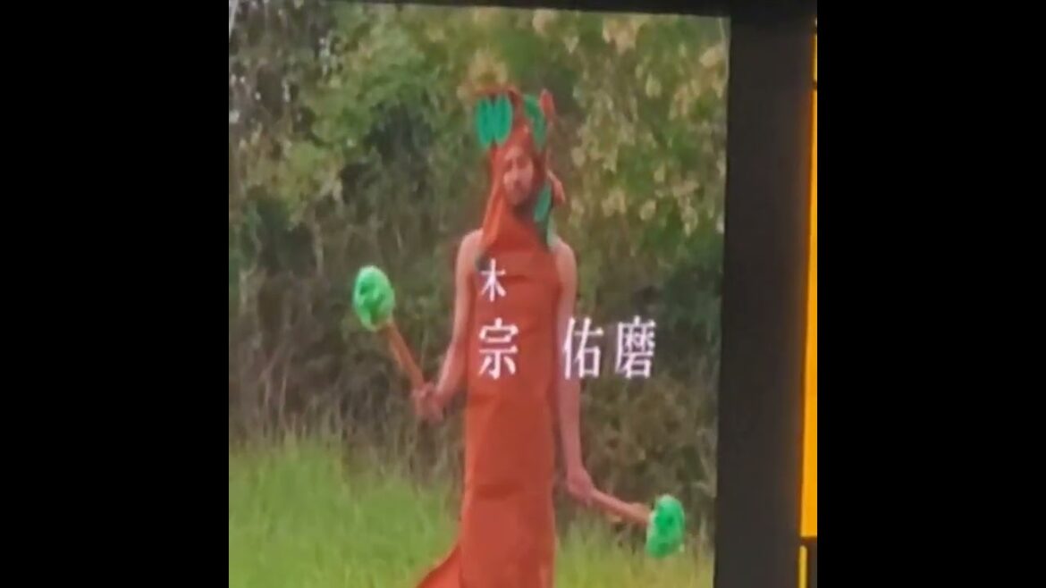 20241124　新ｷｬﾗ爆誕！　#木　#宗佑磨　#shorts　@京ｾﾗﾄﾞｰﾑ大阪 Bs Fan-Festa2024