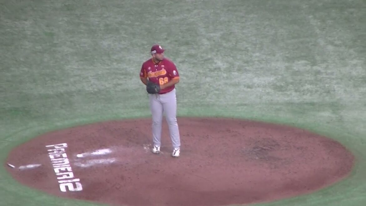 【野球選手フォーム集】ベネズエラ R・ロドリゲスの投球フォーム【2024年11月22日 日本 対ベネズエラ】