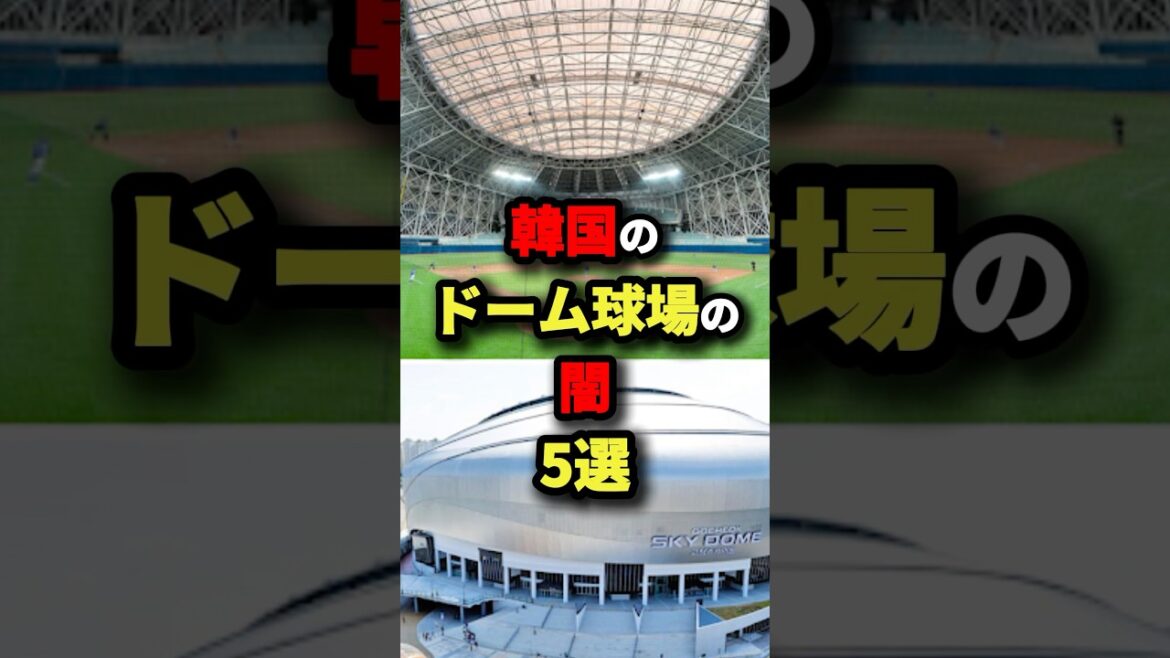 韓国のドーム球場の闇　5選 #プロ野球 #shorts