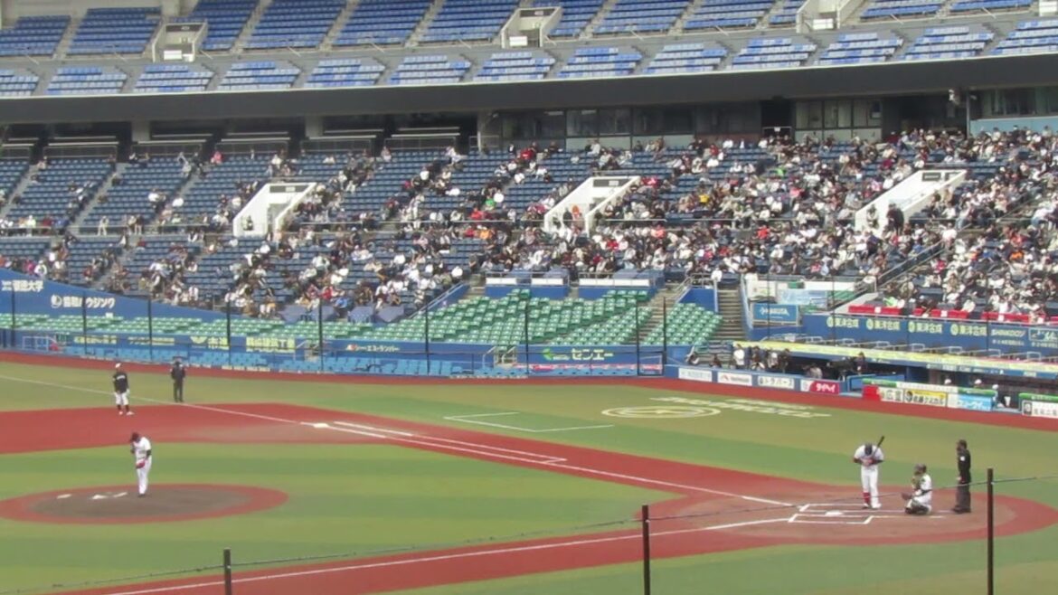 トライアウト〜西武 高木渉がツーベースヒットでアピール（2024年11月14日 プロ野球合同トライアウト ）