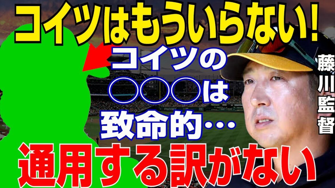 阪神・藤川監督が“いらない選手”を名指し一同驚愕…練習方法も規格外の斬新アイデア【プロ野球/NPB】