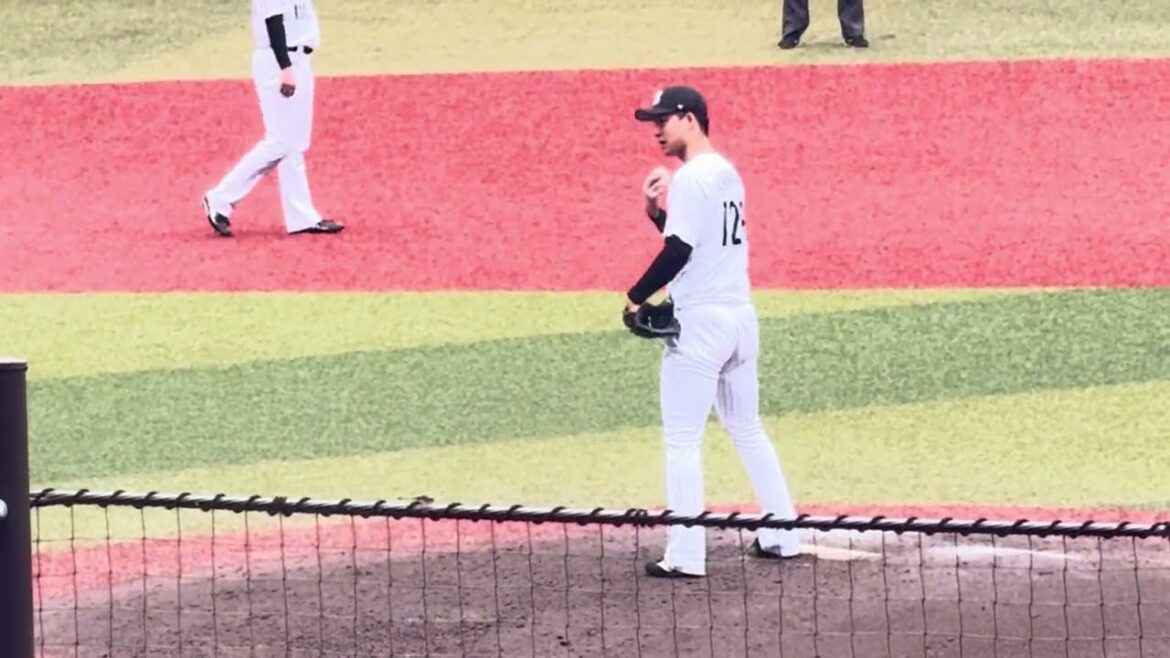 12球団合同トライアウト シート打撃  元千葉ロッテマリーンズ・白濱快起投手投球練習