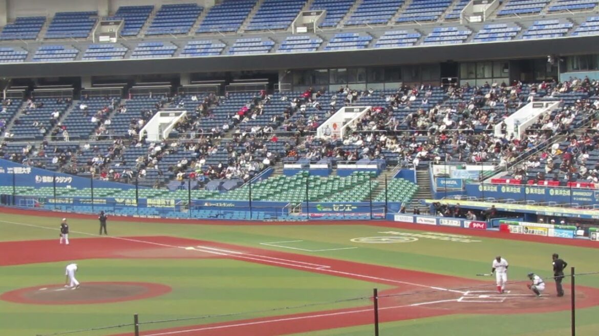 トライアウト〜DeNA高田琢登が巨人 前田研輝を三振（2024年11月14日 プロ野球合同トライアウト ）