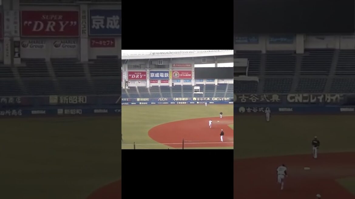 【合同トライアウト】人気の陽岱鋼 一瞬盛り上がる当たりもレフトフライ〜ホークス佐藤宏樹が抑える 2024年プロ野球12球団合同トライアウト11月14日 #陽岱鋼