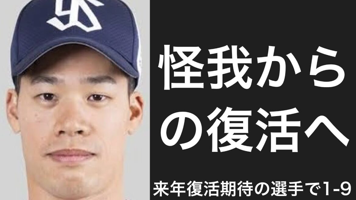 来季復活が期待されるベテラン選手で1-9