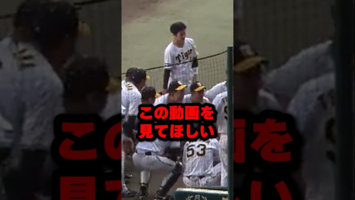 この動画を見てほしい #野球 #プロ野球 ＃shorts