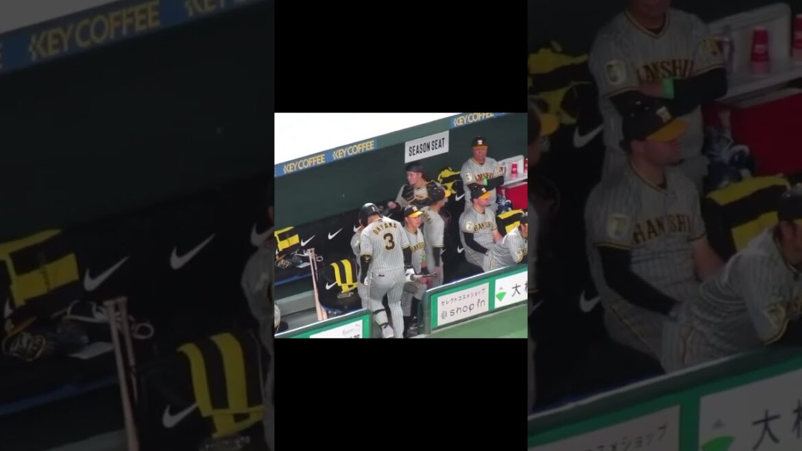 梶谷隆幸のスーパーキャッチが出た時のタイガースベンチの表情 思わず笑っちゃう木浪聖也など2024年3月29日 読売ジャイアンツ対 阪神タイガース #阪神タイガース