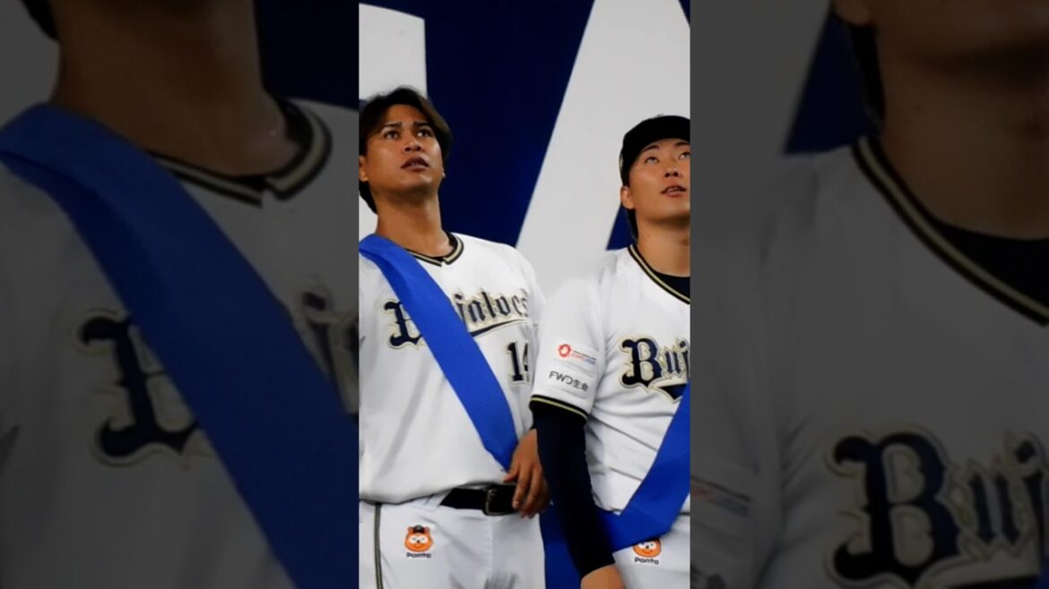 20241124宇田川優希投手東晃平投手#オリックスバファローズ #宇田川優希 #東晃平