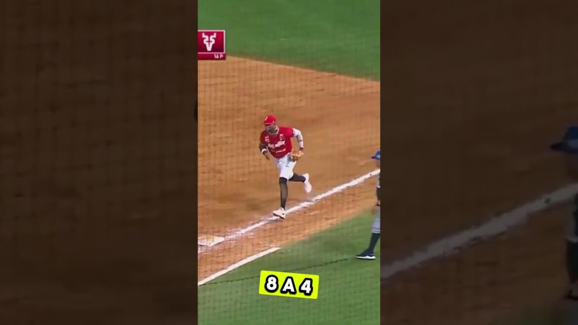 YAQUIS de OBREGÓN 4-8 VENADOS de MAZATLÁN - LIGA MEXICANA del PACÍFICO