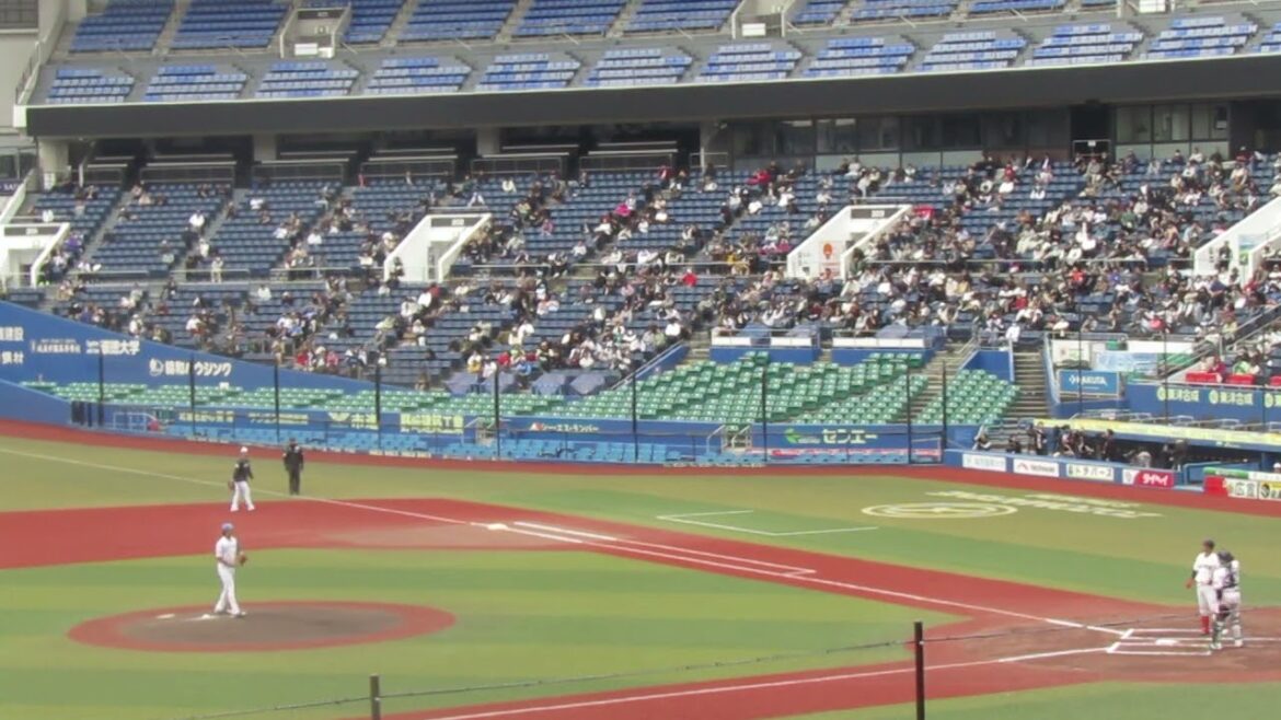 トライアウト〜日ハム 齊藤伸治が巨人 前田研輝を三振（2024年11月14日 プロ野球合同トライアウト ）
