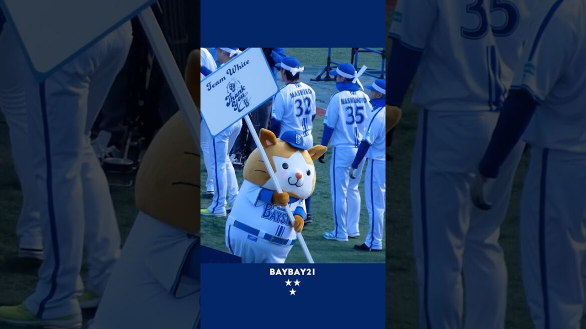 かわいすぎるプラカードスターマン 🐹 #スターマン #baystars #横浜DeNAベイスターズ