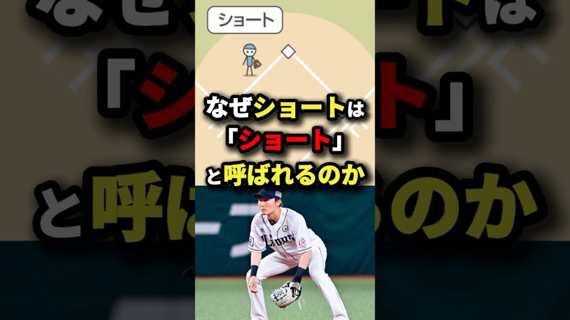 【雑学】なぜ野球のショートは「ショート」と呼ばれるのか？ #プロ野球 #shorts